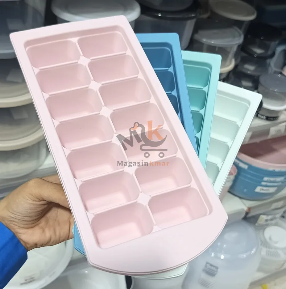 Moule à glaçons en plastique